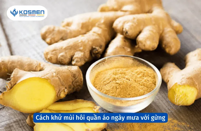 Sử dụng gừng tươi để khử mùi hôi quần áo trong những ngày mưa