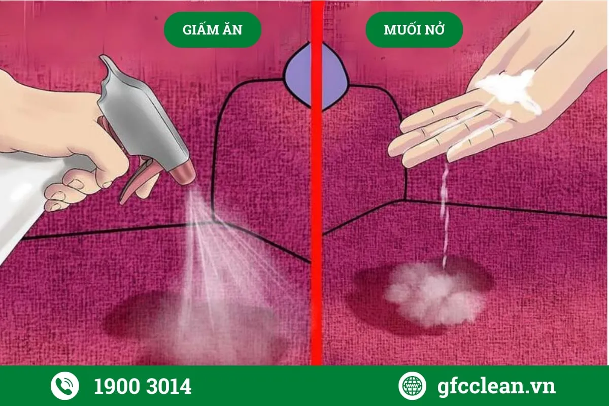 Sử dụng baking soda và giấm ăn để khử mùi nước tiểu mèo trên thảm và nệm hiệu quả