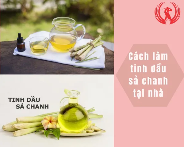 Nguyên liệu cần thiết để làm tinh dầu sả chanh thơm mát tại nhà