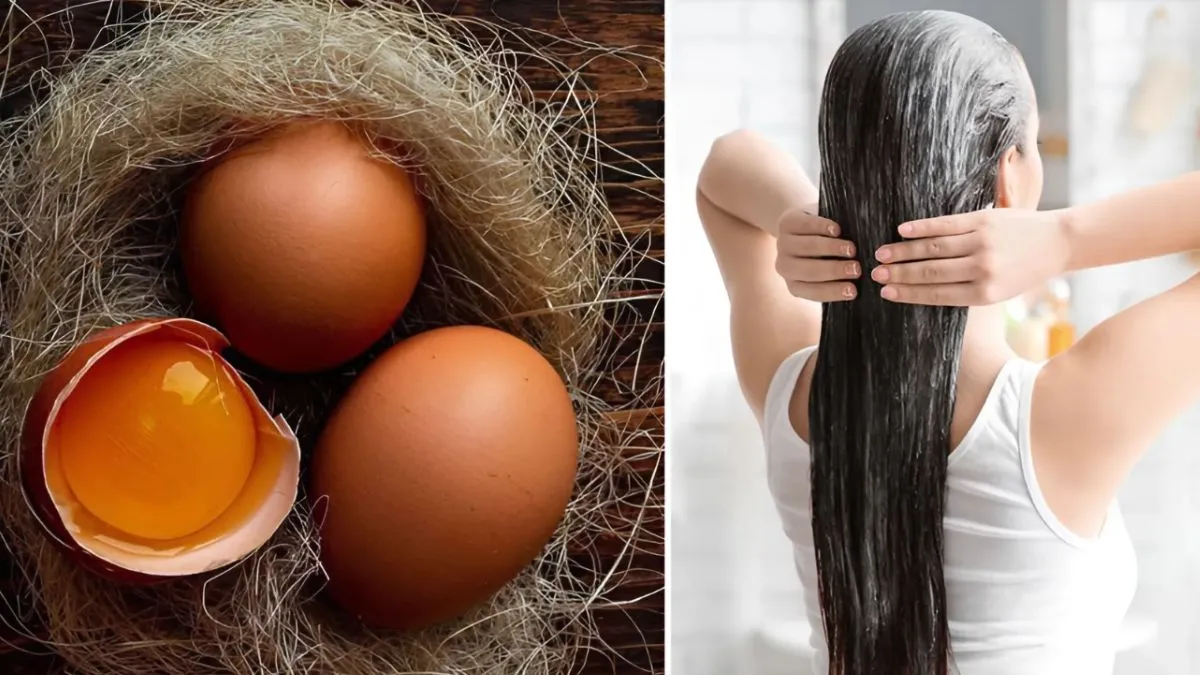 Mặt nạ trứng gà giúp tóc mọc nhanh và chắc khỏe