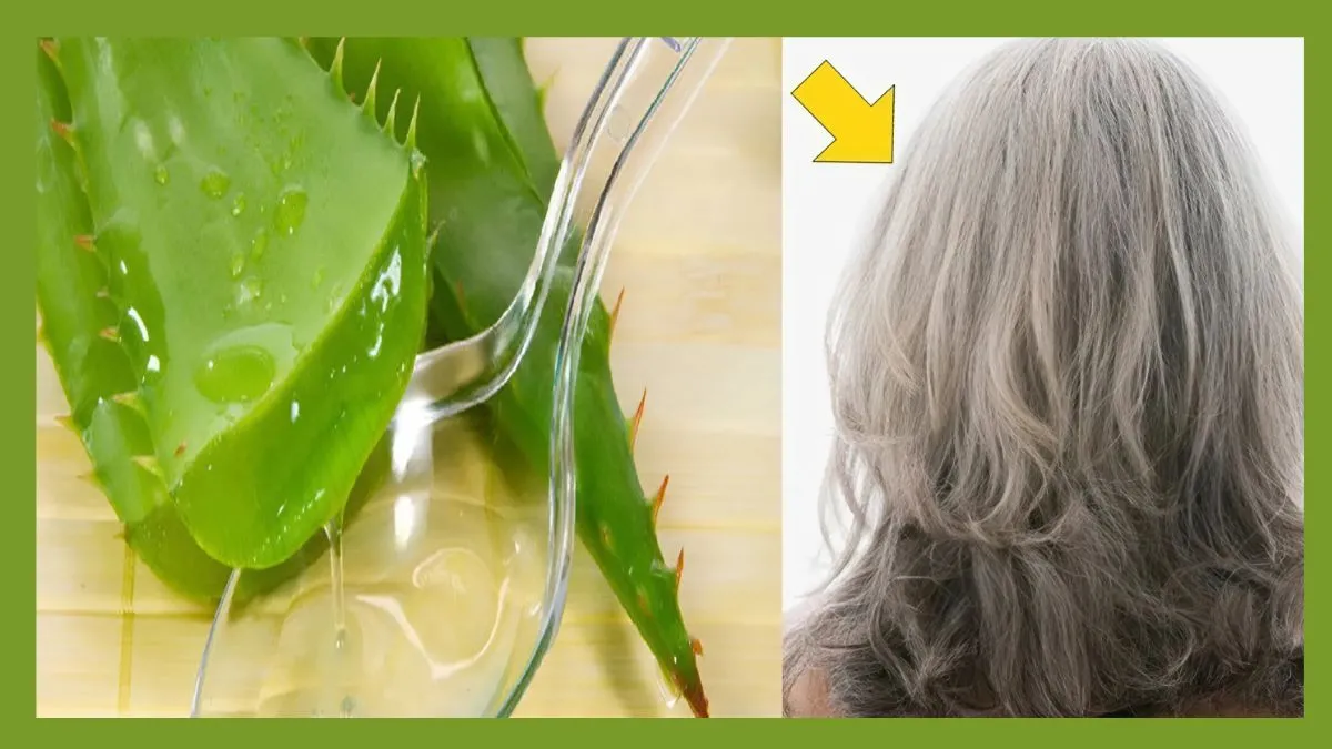 Cách làm tóc nhanh dài bằng gel nha đam