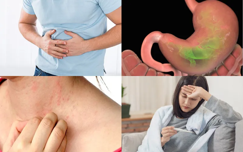 Cây bạc hà có nhiều công dụng