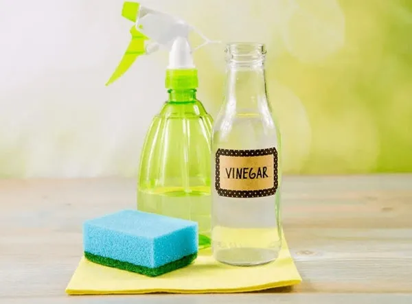 Dung dịch giấm và oxy già để làm sạch và khử mùi hôi nước tiểu mèo hiệu quả