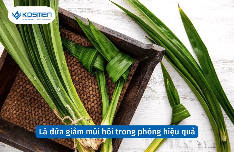 Lá dứa mang lại hương thơm dịu nhẹ và giúp giảm mùi hôi trong phòng ngủ hiệu quả
