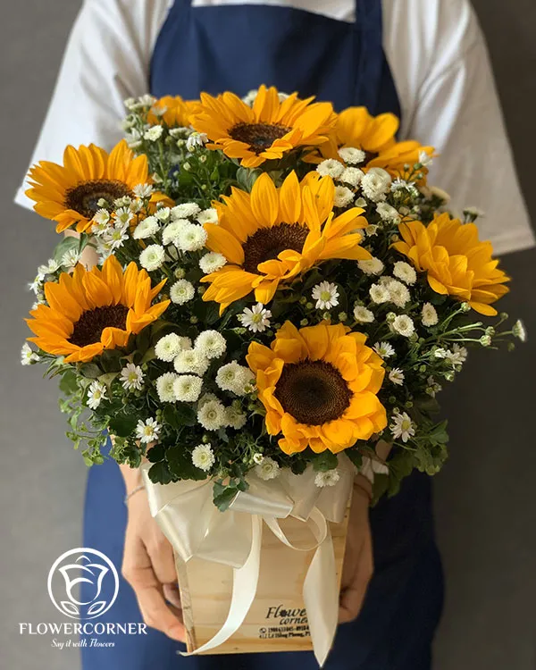 Lẵng hoa hướng dương tươi sáng biểu tượng của niềm tin