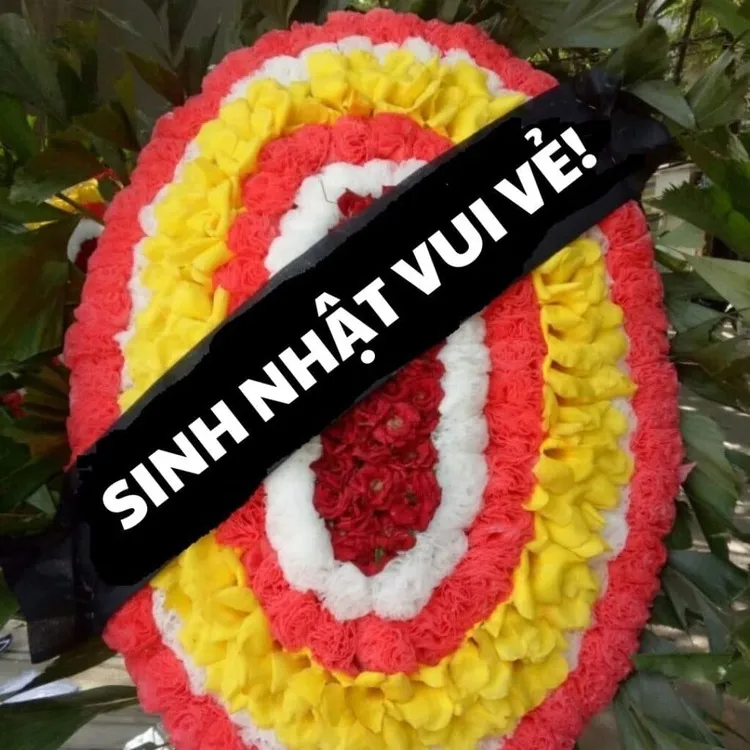 Các loại meme happy birthday với hình ảnh cô gái và bánh kem