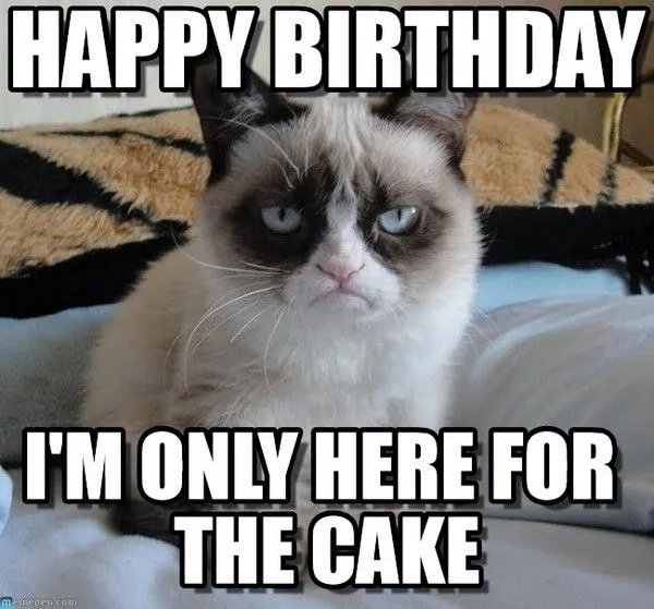Meme chúc mừng sinh nhật với thông điệp &quot;Happy Birthday&quot;