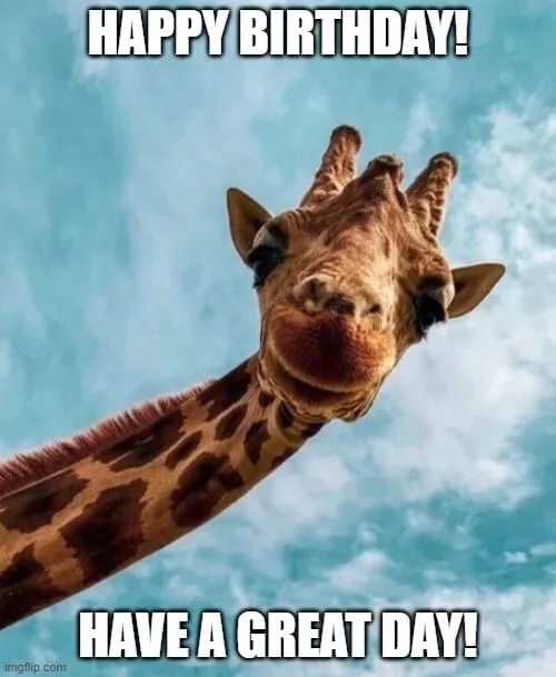 Ảnh meme chúc mừng sinh nhật bạn trai &quot;cà khịa&quot; tuổi tác