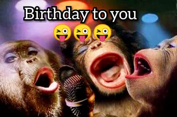 Meme hài hước chúc mừng sinh nhật bạn trai &quot;tăng tuổi&quot;