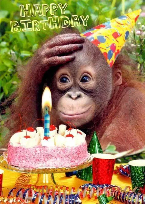 Meme chúc mừng sinh nhật bạn trai với câu nói &quot;Happy Birthday&quot;