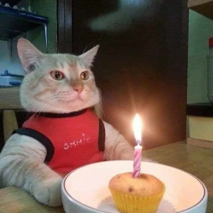 Meme độc đáo chúc mừng sinh nhật bạn trai với hình ảnh chúc mừng
