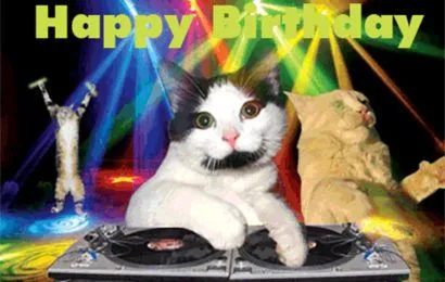 Ảnh Happy Birthday meme với chú mèo dễ thương