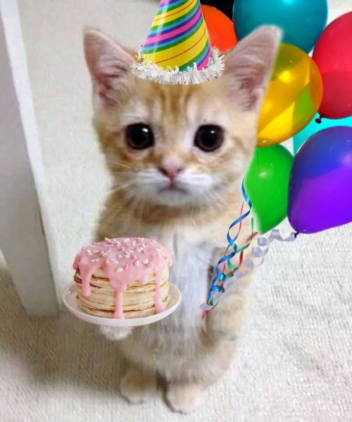 Meme mỗi năm sinh nhật một lần, quê thì mỗi ngày với hình ảnh và biểu cảm &quot;ngậm ngùi&quot;