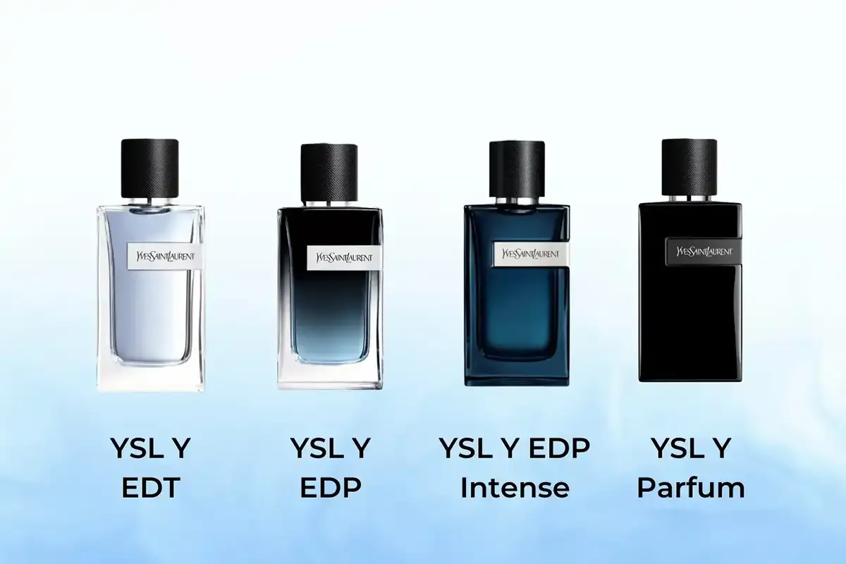 Các dòng nước hoa Yves Saint Laurent Y với nồng độ EDT, EDP, EDP Intense và Parfum khác nhau
