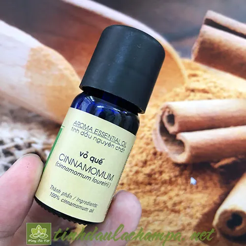 Chai tinh dầu quế nguyên chất được cầm trên tay, thể hiện sự tinh túy từ thiên nhiên