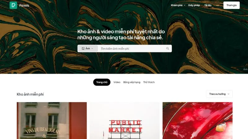 Logo Pexels với tên thương hiệu