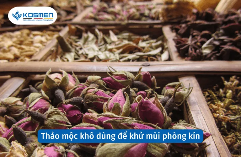 Thảo mộc khô là giải pháp tự nhiên và bền vững để khử mùi hôi phòng kín