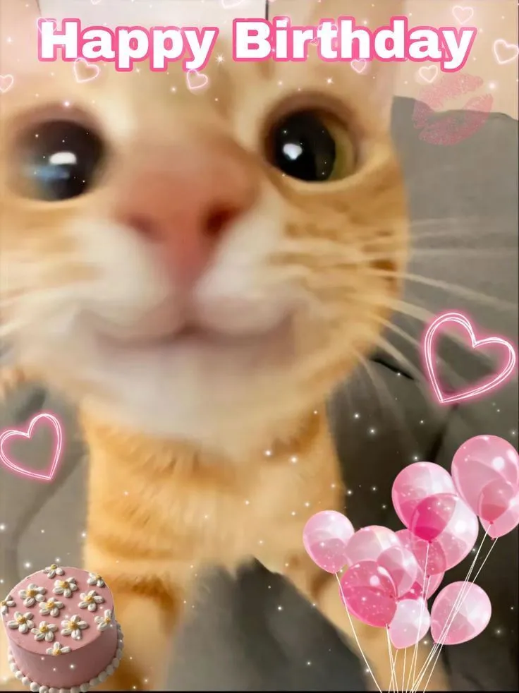Meme tuổi mới, mày vẫn là đứa đáng nghi nhất nhóm với hình ảnh và biểu cảm &quot;tình nghi&quot;
