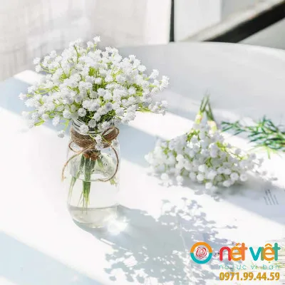 Bó hoa baby trắng nhỏ li ti tinh khôi
