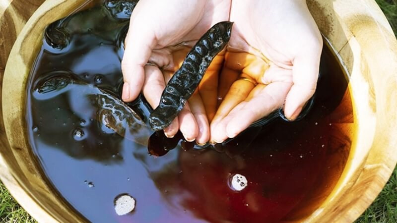 Gội đầu bằng bồ kết là một trong những cách làm tóc nhanh dài trong 2 ngày siêu hiệu quả