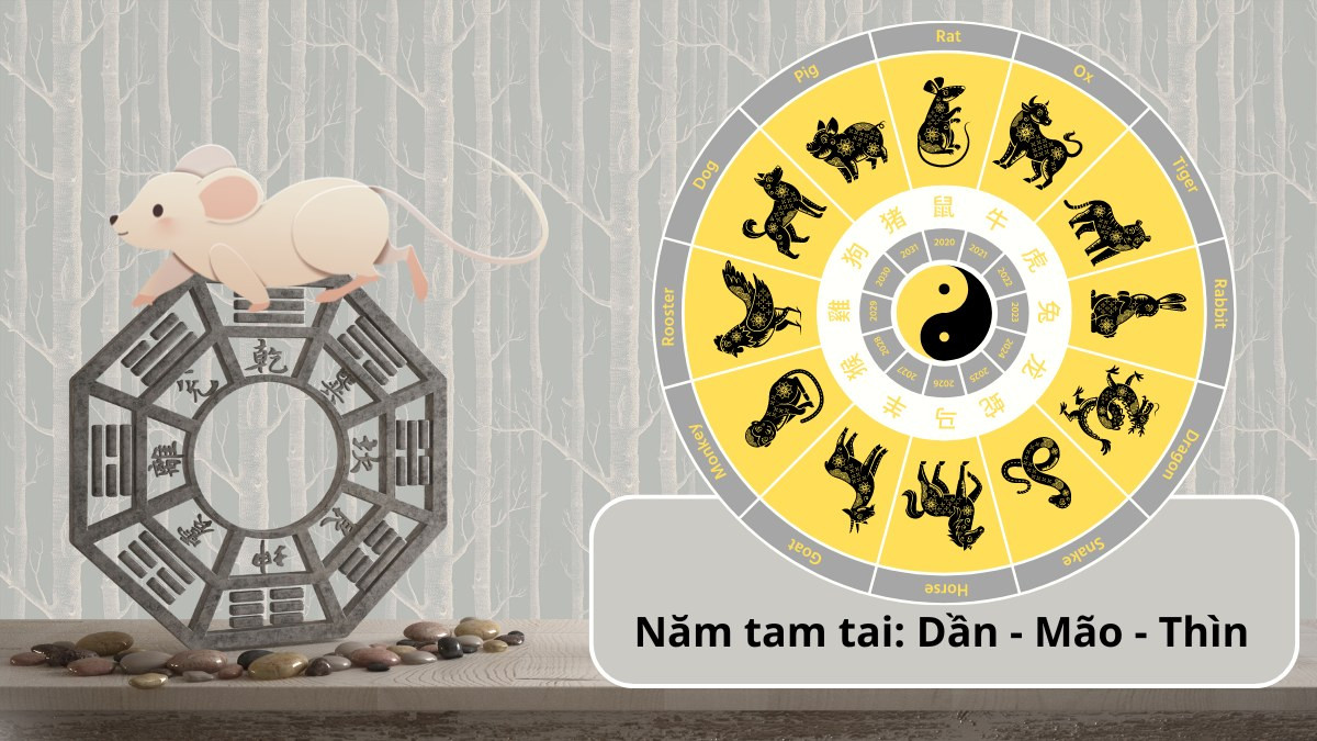 Sinh năm 1984 tam tai 12 năm 1 lần