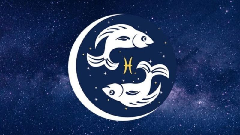 Cung Bảo Bình và Song Ngư là hai cung hoàng đạo của tháng 2