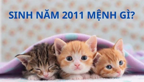 Biểu tượng con Mèo đại diện cho tuổi Tân Mão 2011