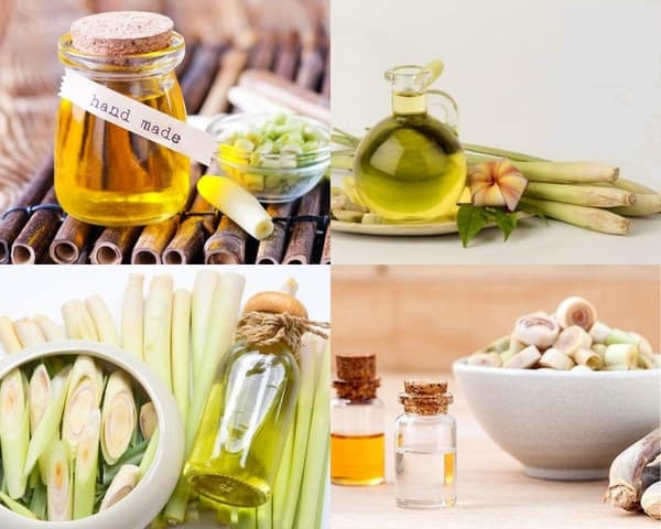 Hướng dẫn cách làm tinh dầu chanh sả tại nhà