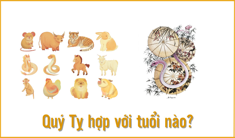 Những tuổi nào hợp với người sinh năm 2013 Quý Tỵ?