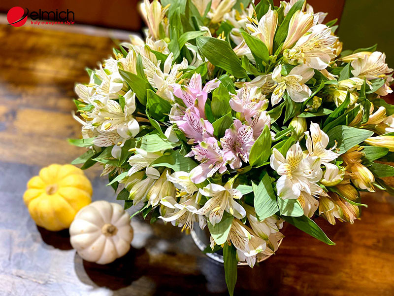 Cánh hoa thủy tiên mỏng manh, nhẹ nhàng trong sắc trắng tinh khôi