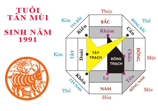 Hình ảnh nam nữ tuổi Tân Mùi 1991 hợp hướng nào
