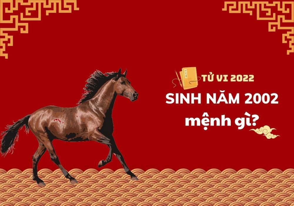 Người sinh năm 2002 thuộc mệnh Mộc theo ngũ hành