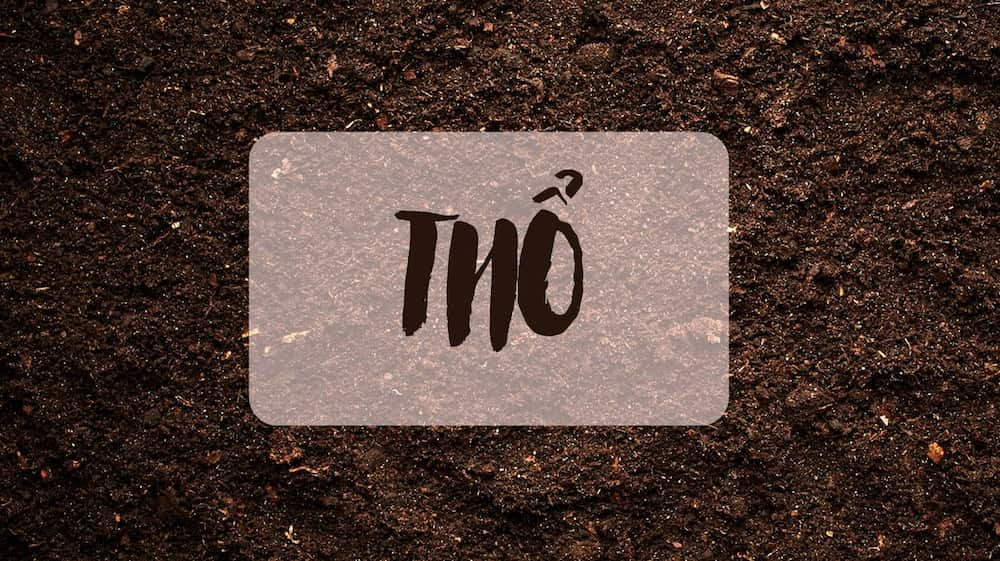 Những người sinh năm 1998 mang mệnh Thổ