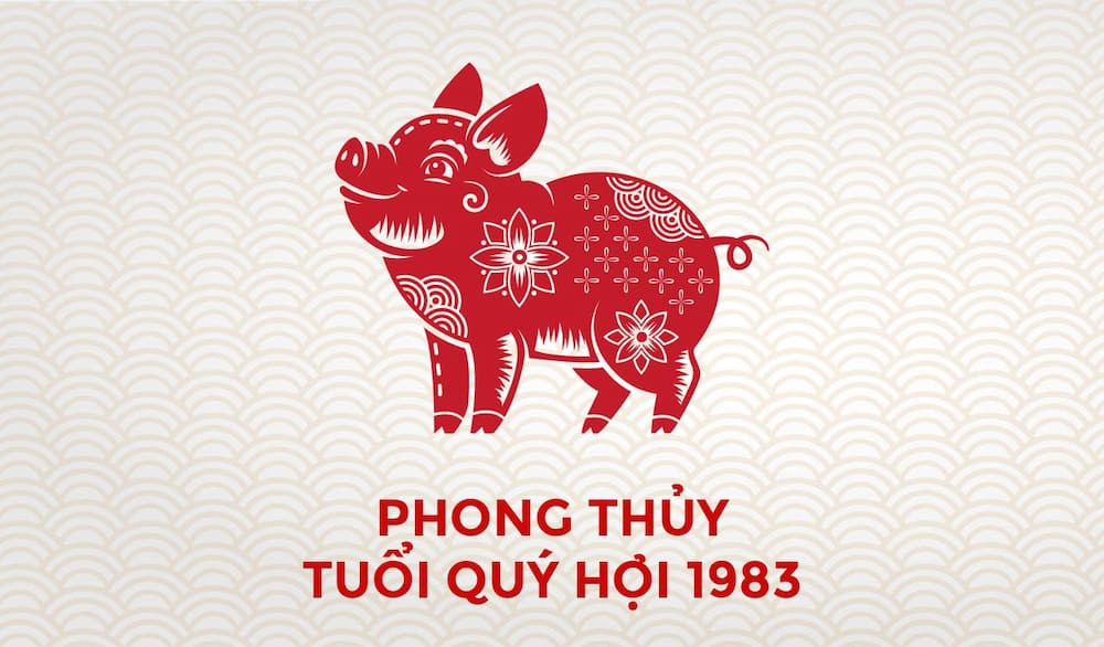 Người sinh năm 1983 thuộc mệnh Thủy và tuổi Quý Hợi theo lịch âm dương