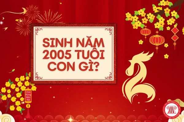Thông tin tổng quan về tuổi và mệnh của người sinh năm 2005