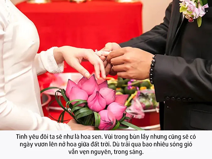 Những đóa sen hồng và trắng khoe sắc trong nắng, thể hiện sự hòa quyện của tình yêu và cuộc sống