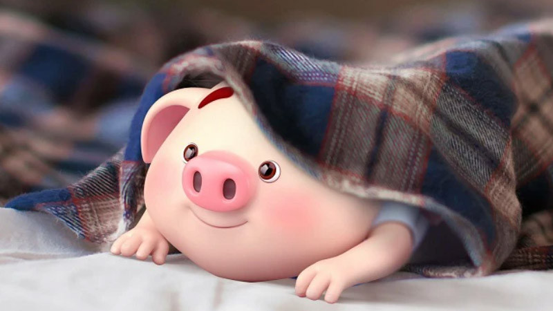 Hình ảnh minh họa câu hỏi về độ tuổi và năm học của người sinh năm 2007