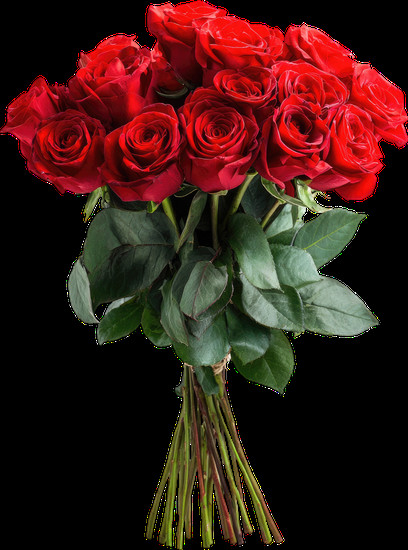 Bó hoa hồng đỏ thẫm rực rỡ tượng trưng cho tình yêu