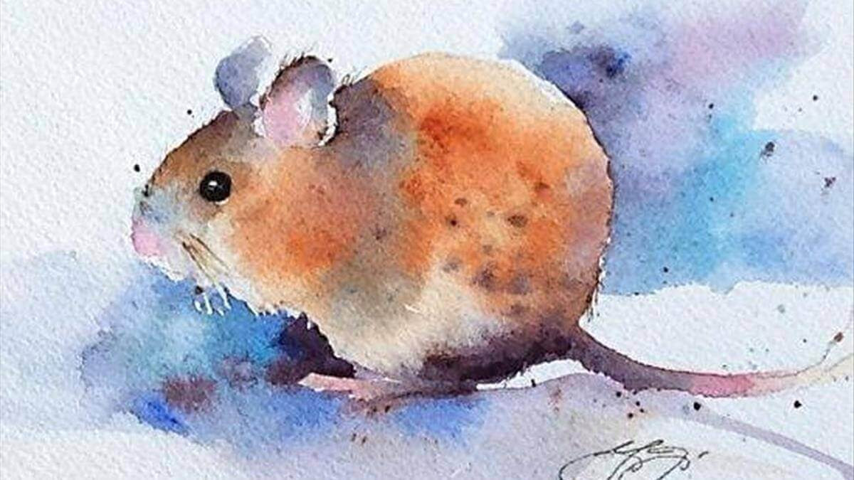 Con số 9, 3, 4 mang lại may mắn cho người tuổi Mậu Tý 2008