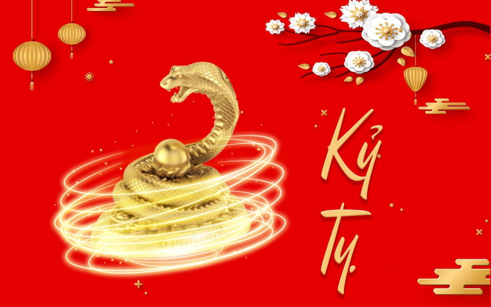 Hình ảnh biểu tượng người sinh năm 1989 tuổi Rắn Kỷ Tỵ