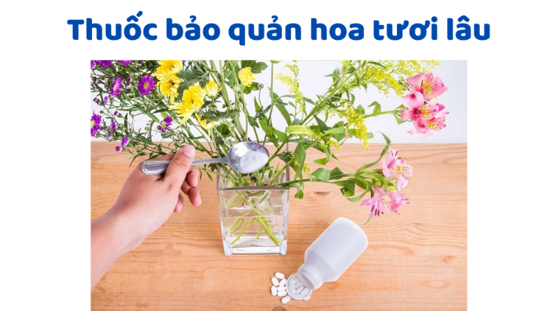 Chọn và bảo quản hoa tươi