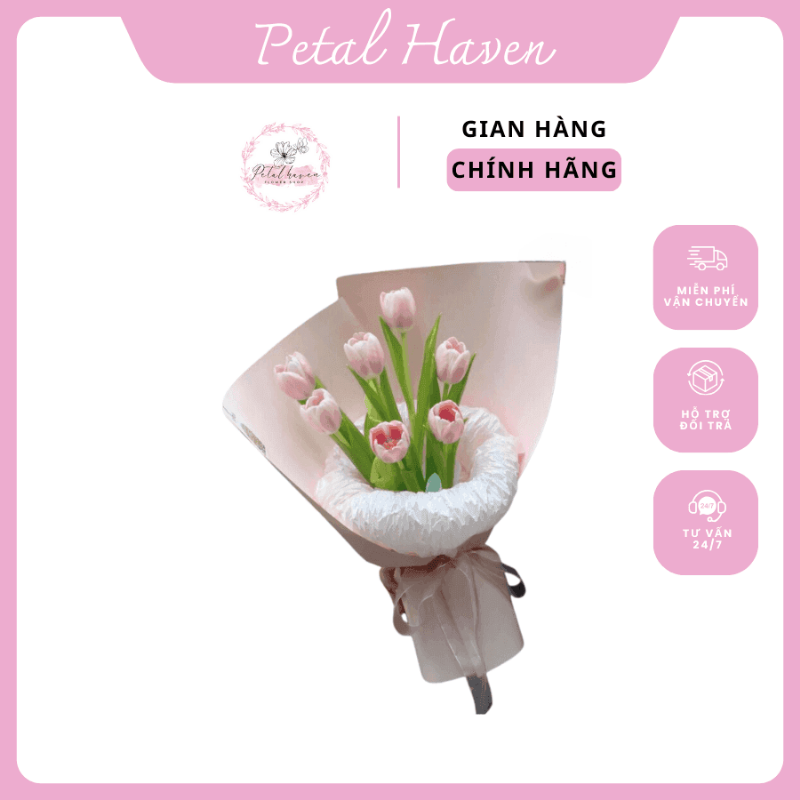 Hoa tulip hồng dịu dàng