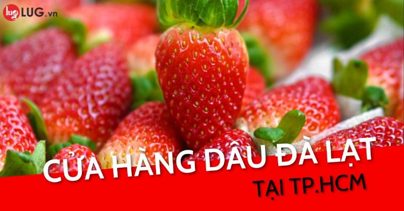 Địa điểm mua dâu tây tại TPHCM