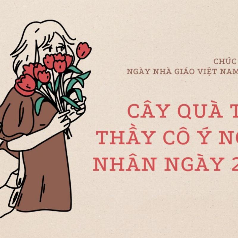 Cẩm tú cầu có nguồn gốc từ Đông Á, nổi bật với màu sắc đa dạng.