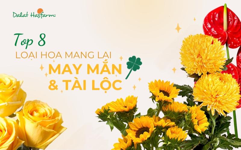 Những Loài Hoa May Mắn Khác