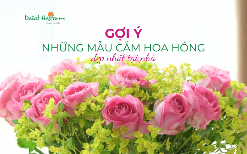 Tự cắm hoa hồng tại nhà