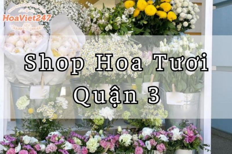 Ý nghĩa hoa tươi quận 3