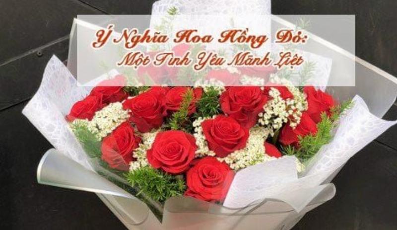 Hoa Hồng Đỏ Biểu Tượng Tình Yêu