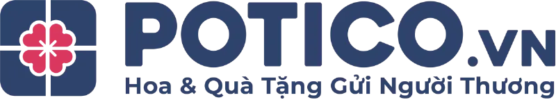 Hoa Tương Tự Hoa Cẩm Chướng