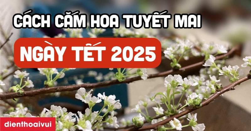 Hoa tuyết mai kết hợp với các loại hoa khác